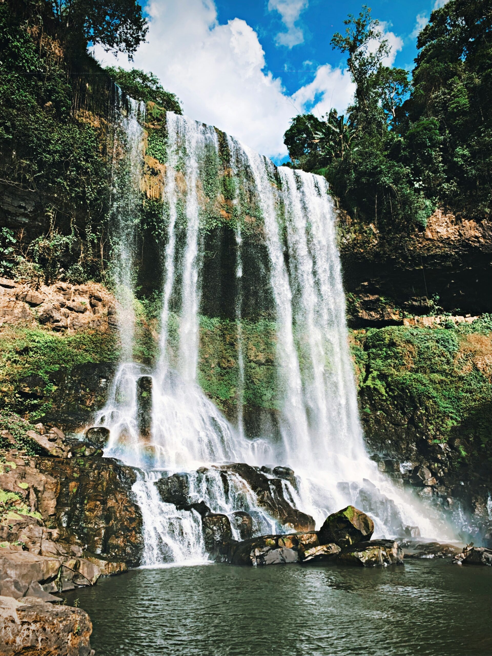 tran quang trieu lGFF ZsZoIs unsplash scaled