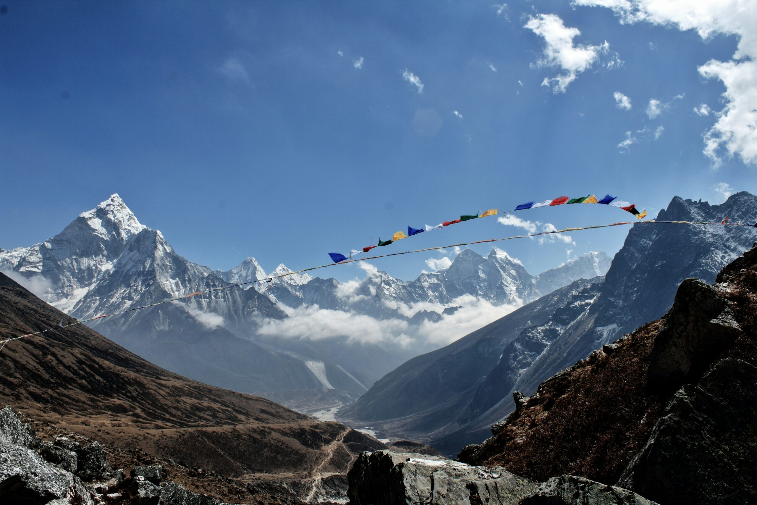 ananya bilimale k05D8dlaZQg unsplash scaled