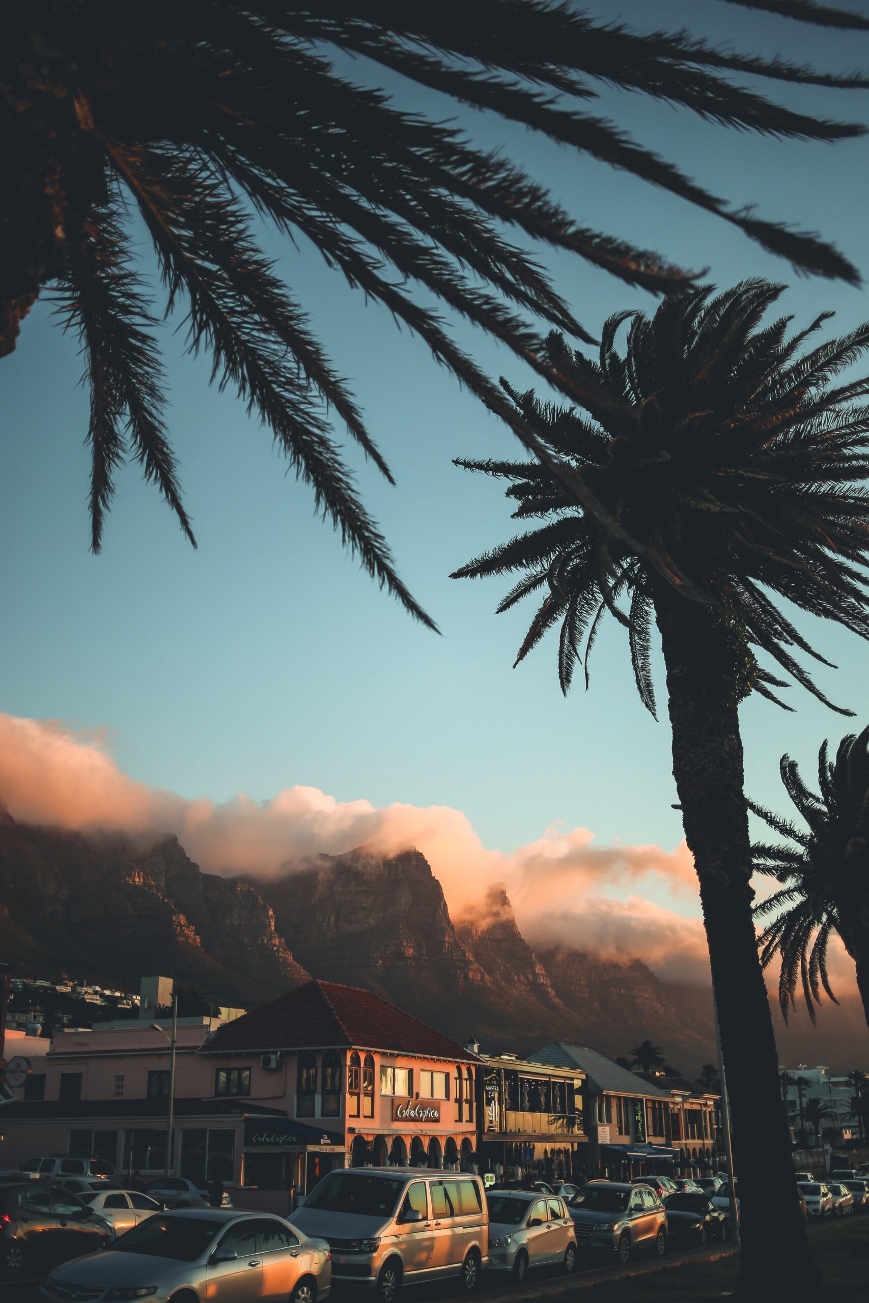 morgane le breton 3Da4mGU5LJE unsplash scaled